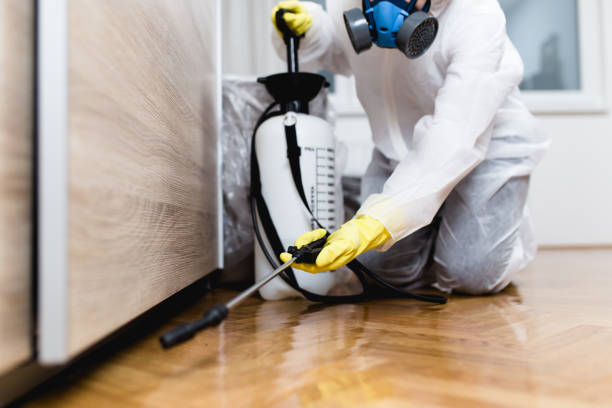 Best Pest Control for Businesses  in Pella, IA