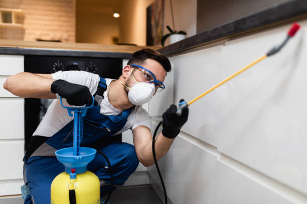 Best Pest Inspection Near Me  in Pella, IA