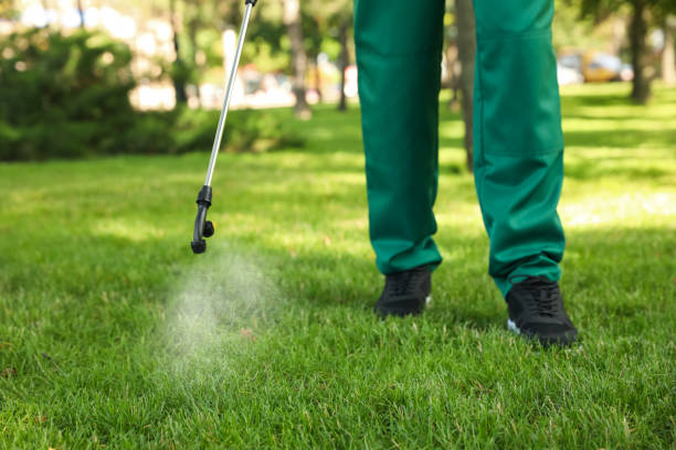 Trusted Pella, IA Pest Control Experts